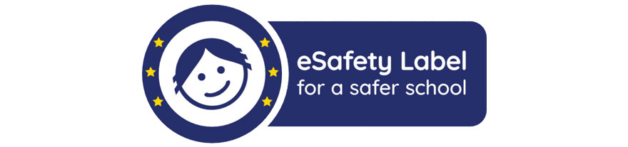 e safety label 2021