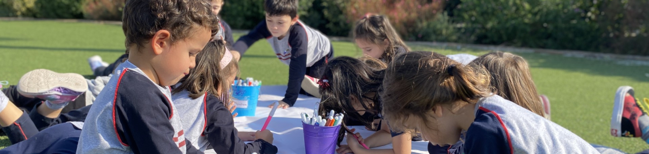 Teaching Strategies - Kindergarten